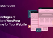 Advantages of Custom WordPress Theme for Your Website