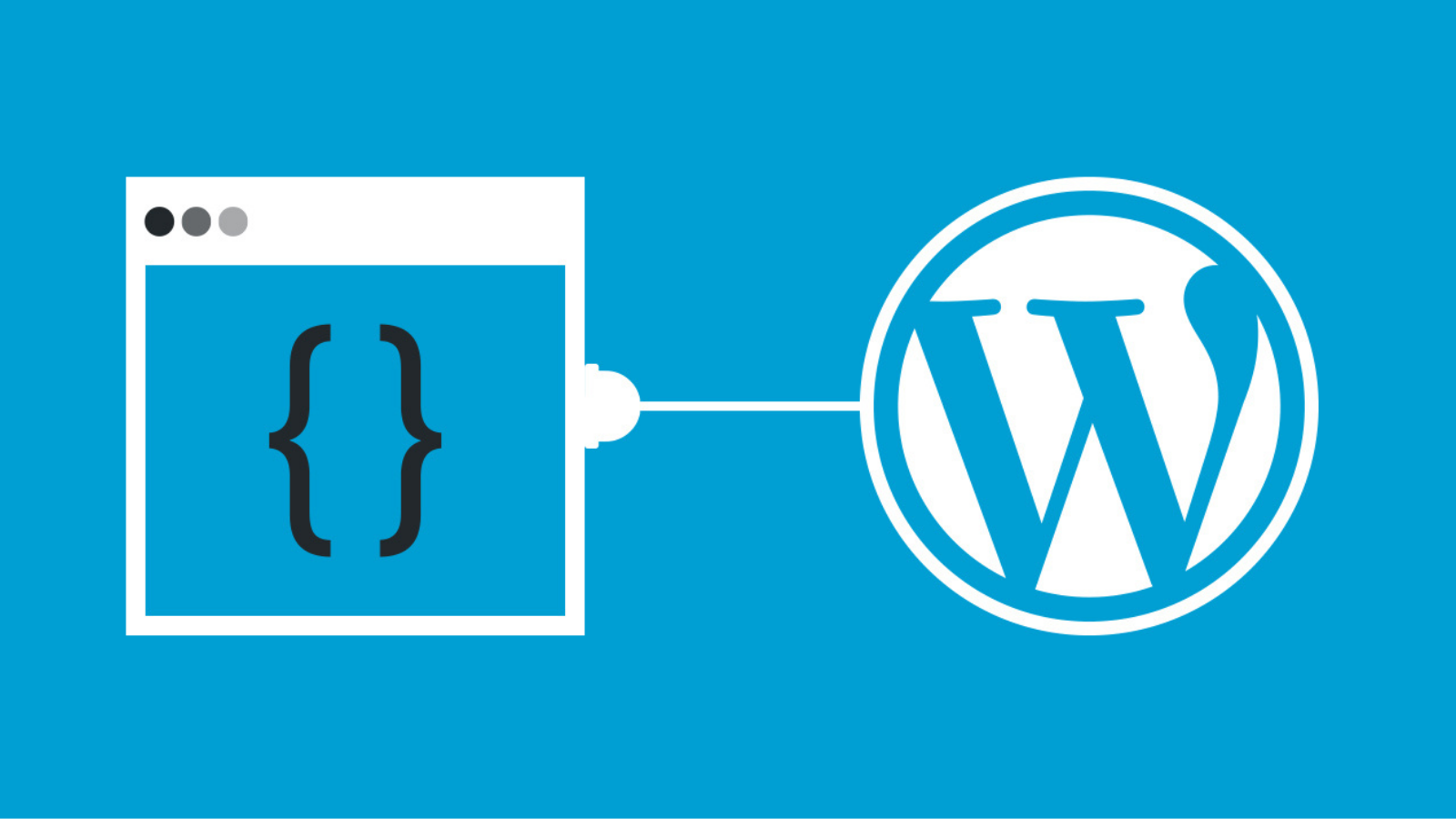 WordPress-Plugin-Development-basic-concepts