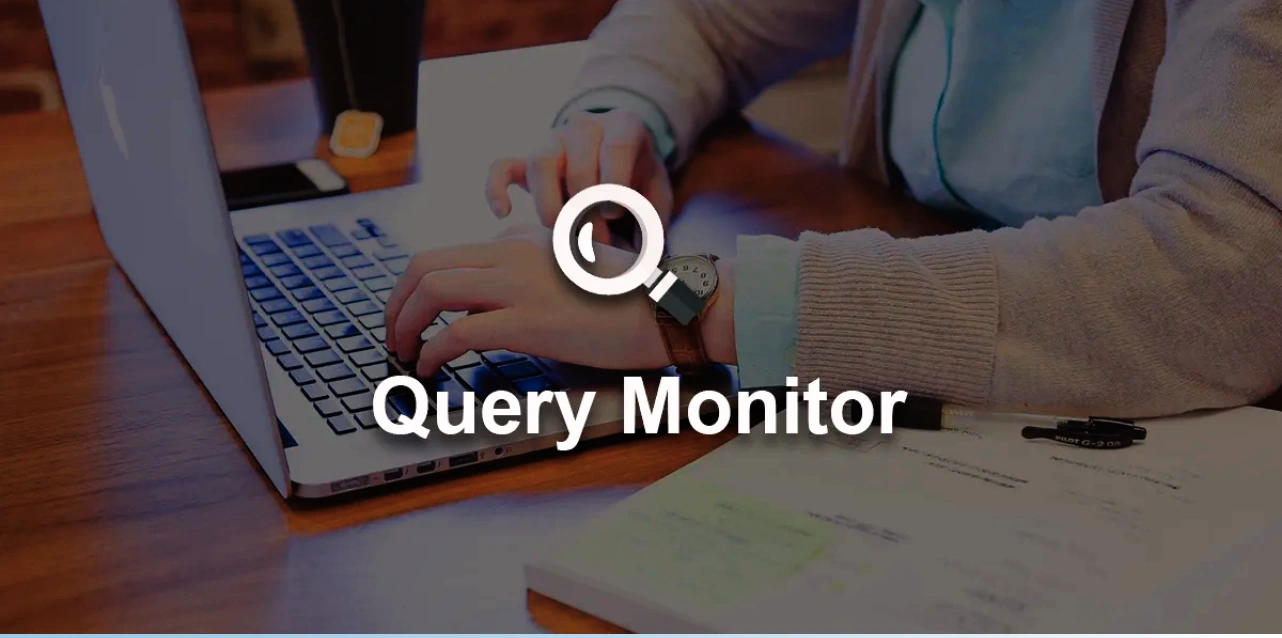 query-monitor