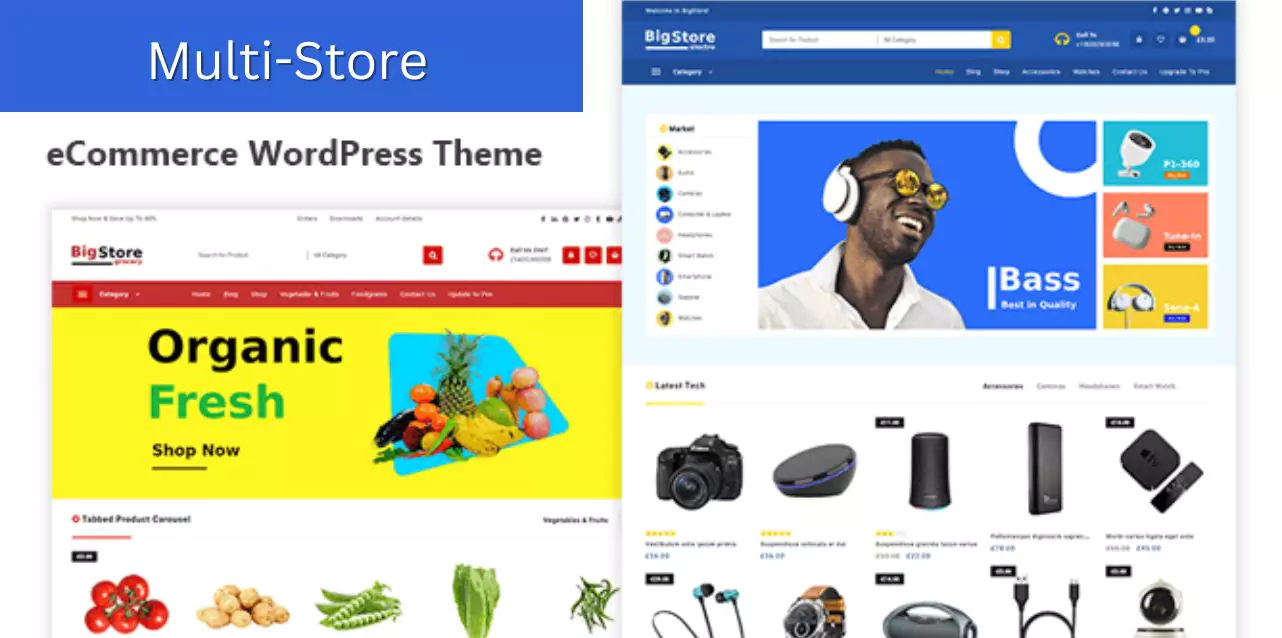 multi-store-ecommerce-theme-wordpress