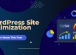 wordpress-site-optimization