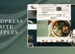 wordpress-website-examples